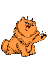 Premium T-Shirt For Women