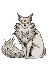 Premium T-Shirt For Women