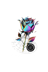 Premium Winter Hoodie with Zipper