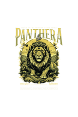 Streetwear Oversized Hoodie with Zipper