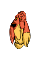 ✨ Women's Trendy Raglan T-Shirts