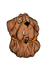 ✨ Women's Trendy Raglan T-Shirts